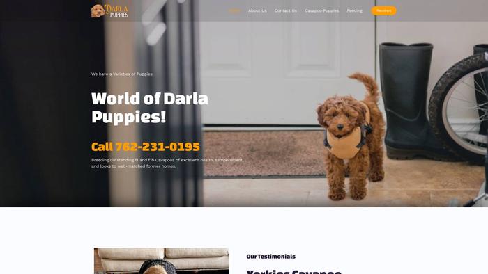 Darlapuppies.com - Cavapoo Puppy Scam Review