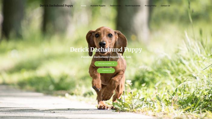 Derickdachshundpuppy.com - Dachshund Puppy Scam Review