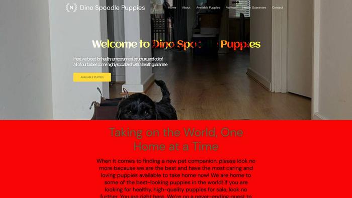 Dinospoodlepuppy.online - Poodle Puppy Scam Review