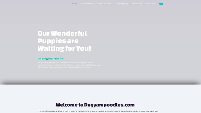 Dogyampoodles.com - Poodle Puppy Scam Review