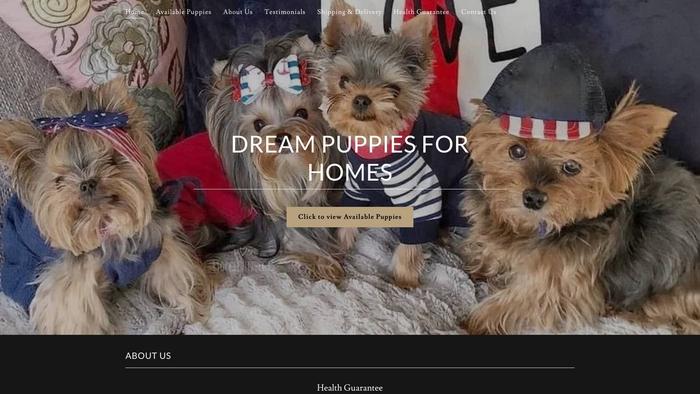 Dreampuppiesforhomes.com - Maltipoo Puppy Scam Review