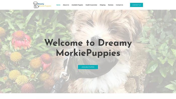 Dreamymorkiepups.com - Yorkshire Terrier Puppy Scam Review