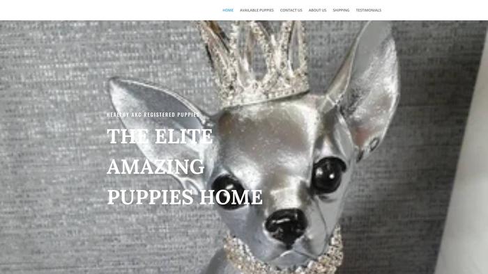 Eliteamazinghome.com - Chihuahua Puppy Scam Review