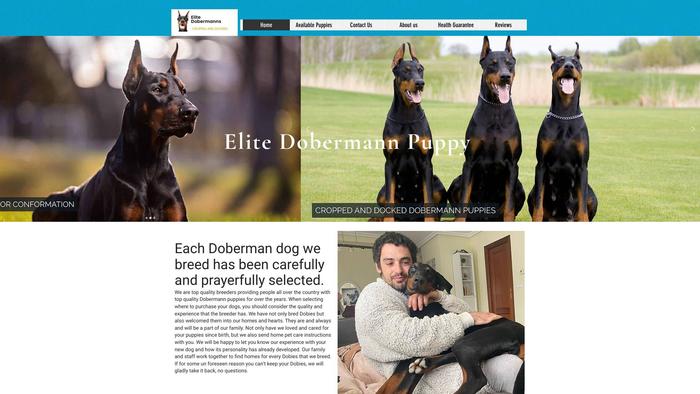 Elitedobermannpuppy.com - Doberman Pinscher Puppy Scam Review