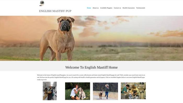 Englishmastiffhome.com - Tibetan Mastiff Puppy Scam Review