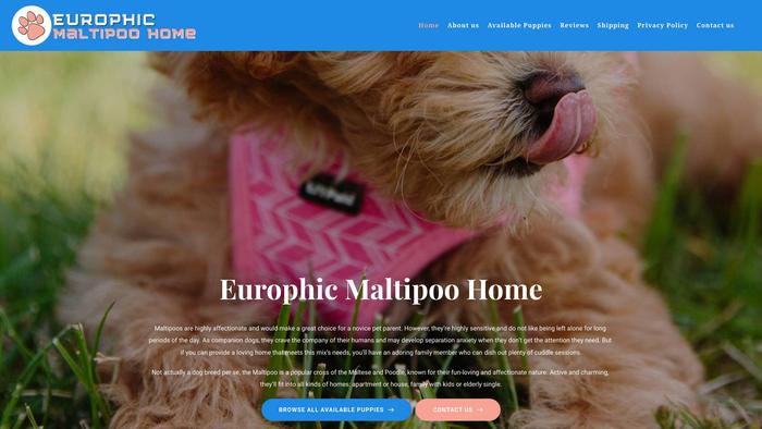 Europhicmaltipoohome.com - Maltipoo Puppy Scam Review