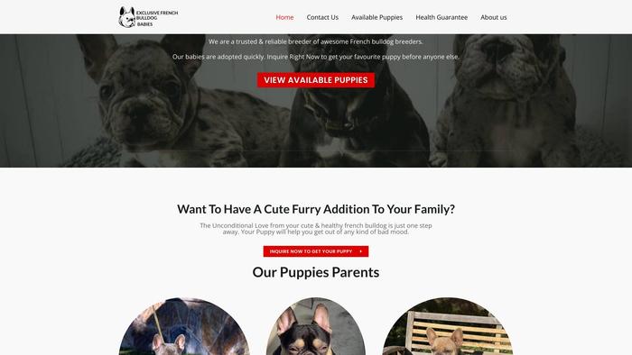 Exclusivefrenchbulldogbabies.com - French Bulldog Puppy Scam Review