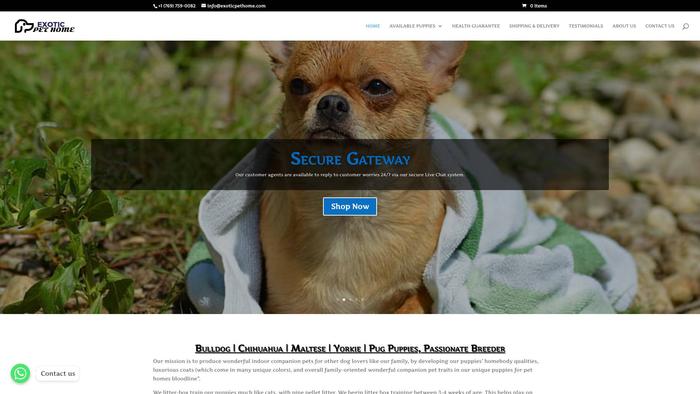 Exoticpethome.com - Chihuahua Puppy Scam Review