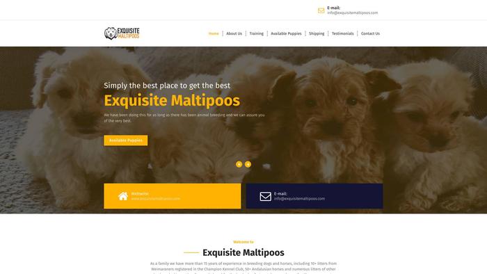 Exquisitemaltipoos.com - Maltipoo Puppy Scam Review