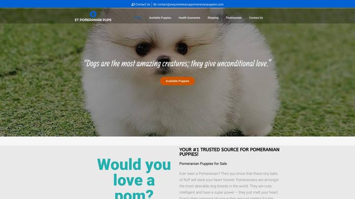 Exquisiteteacuppomeranianpuppies.com - Pomeranian Puppy Scam Review