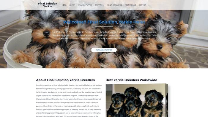 Finalsolutionyorkiepuppies.com - Yorkshire Terrier Puppy Scam Review