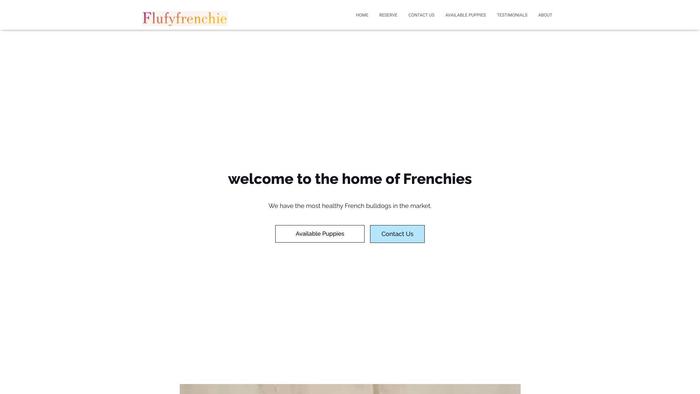 Flufyfrenchie.com - French Bulldog Puppy Scam Review