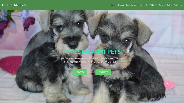 Forestalminipets.com - Schnauzer Puppy Scam Review