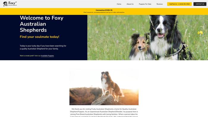 Foxyaustralianshepherds.com - Germanshepherd Puppy Scam Review