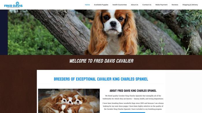 Freddaviskingcharlesspaniel.com - Cavalier King Charles Spaniel Puppy Scam Review