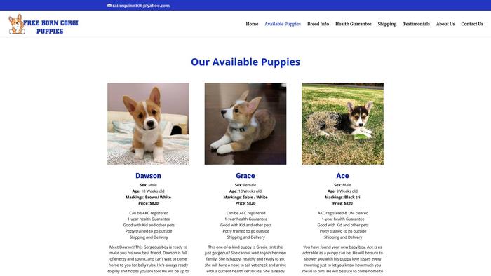 Freeborncorgipuppies.com - Corgi Puppy Scam Review