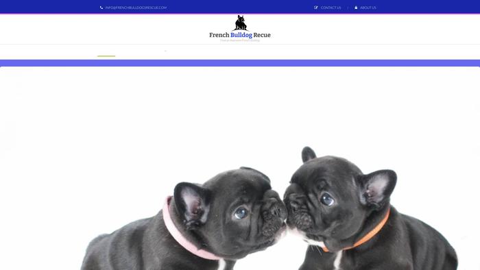 Frenchbulldogs-rescue.com - French Bulldog Puppy Scam Review