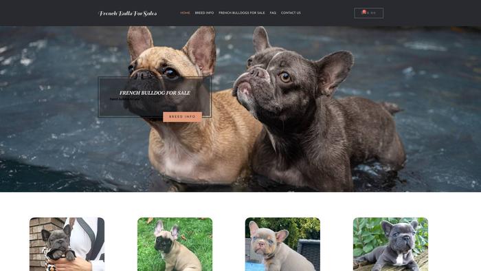 Frenchbulldogsforsales.com - French Bulldog Puppy Scam Review