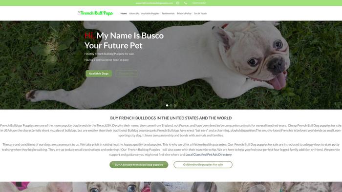 Frenchiesbulldogpuppies.com - French Bulldog Puppy Scam Review