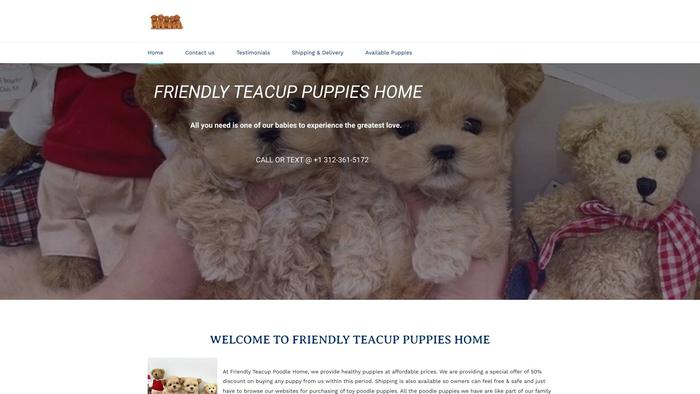 Friendlyteacuppuppieshome.com - Yorkshire Terrier Puppy Scam Review