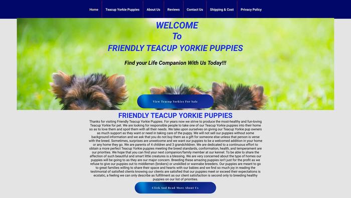 Friendlyyorkiepuppies.com - Yorkshire Terrier Puppy Scam Review