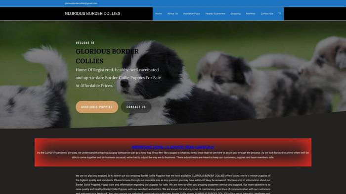 Gloriousbordercollies.com - Bordercollie Puppy Scam Review