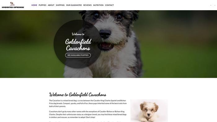 Goldenfieldcavachons.com - Cavachon Puppy Scam Review