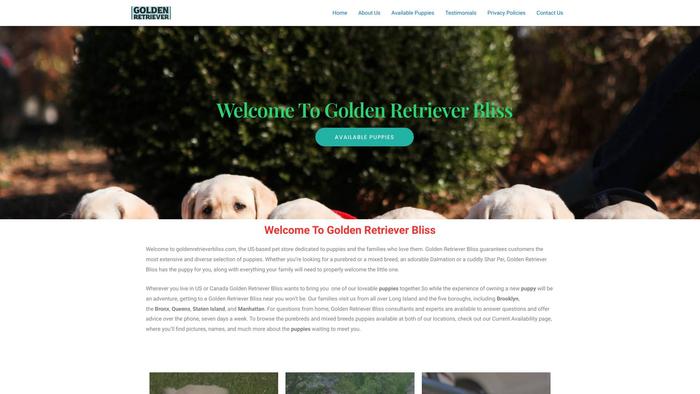 Goldenretrieverbliss.com - Golden Retriever Puppy Scam Review