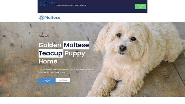 Goldenteacupmaltese.com - Maltese Puppy Scam Review