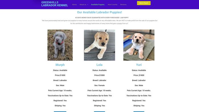 Greenhilllabradorpuppies.com - Labrador Puppy Scam Review