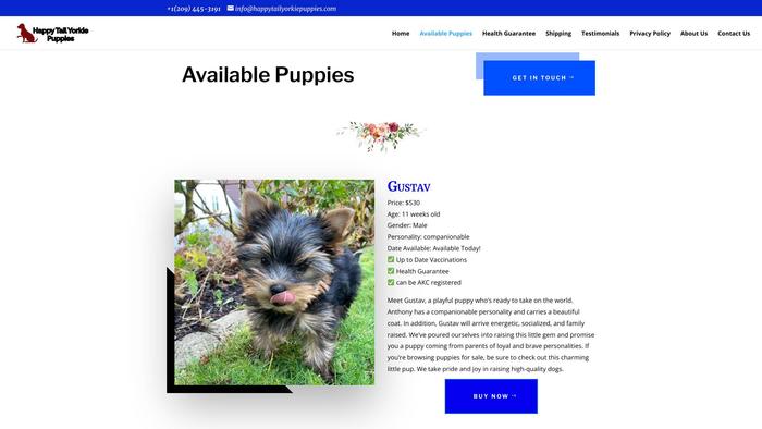 Happytailyorkiepuppies.com - Terrier Puppy Scam Review