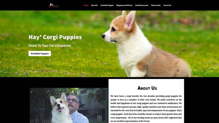 Hayscorgipupps.com - Corgi Puppy Scam Review