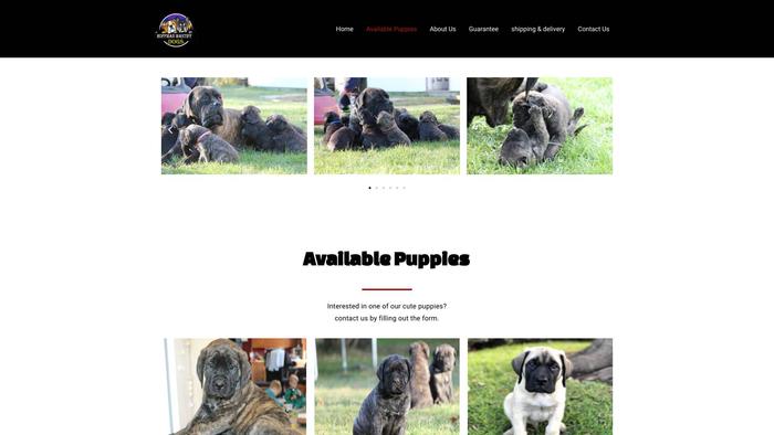 Hoffmanmastiff.com - Tibetan Mastiff Puppy Scam Review