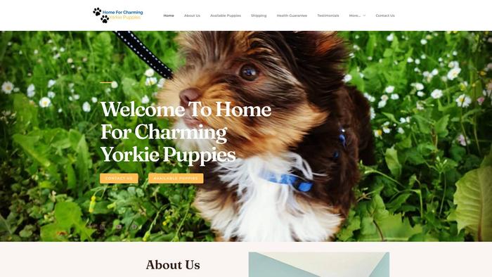 Homeforcharmingyorkiepups.com - Yorkshire Terrier Puppy Scam Review