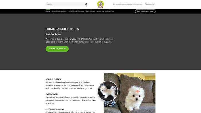 Homeraisedteacuppups.com - Yorkshire Terrier Puppy Scam Review