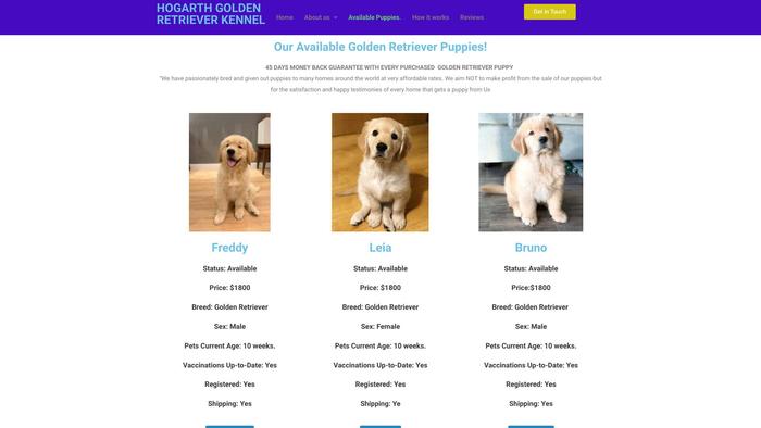 Horgarthgoldenretrieverkennel.com - Golden Retriever Puppy Scam Review