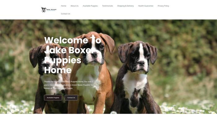 Jakeboxerpuppieshome.net - Boxer Puppy Scam Review