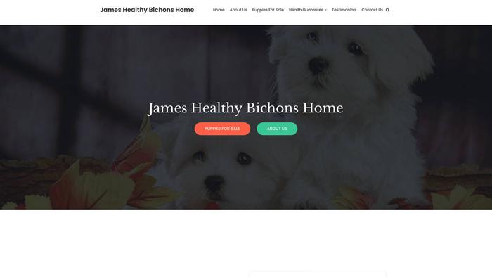 Jameshealthybichonshome.com - Bichon Frise Puppy Scam Review