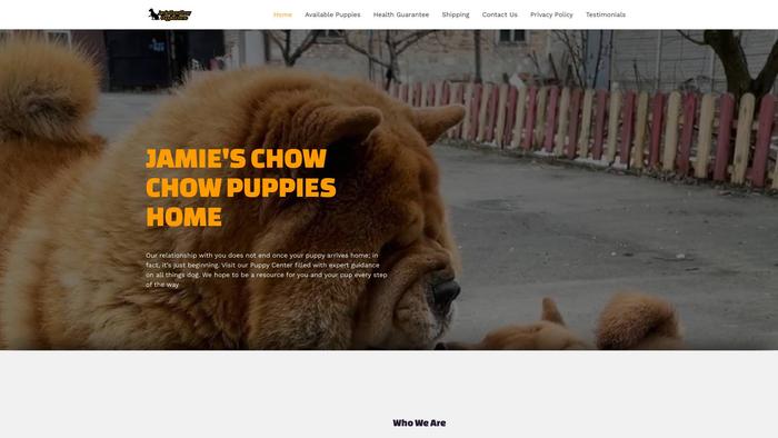 Jamiechowchowpuppies.com - Chowchow Puppy Scam Review