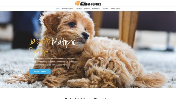 Jasonsmaltipoos.com - Maltipoo Puppy Scam Review