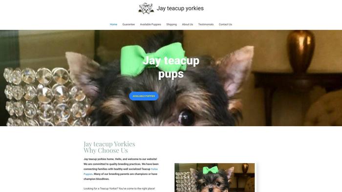 Jayteacupyorkies.com - Yorkshire Terrier Puppy Scam Review