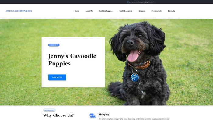 Jennyscavoodlepuppies.com - Cavapoo Puppy Scam Review