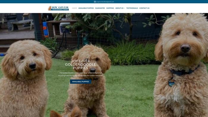 Joygivergoldendoodlepuppies.com - Golden Doodle Puppy Scam Review