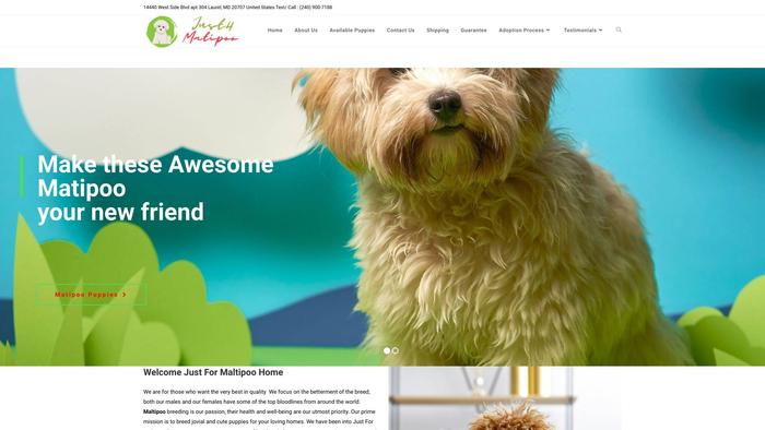 Justformaltipoo.com - Maltipoo Puppy Scam Review