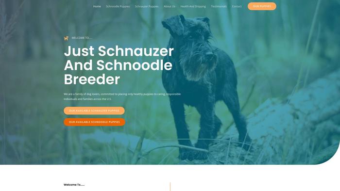 Justschnauzerandschnoodlebreeder.com - Schnauzer Puppy Scam Review