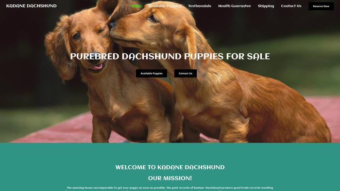 Kadanedachshund.com - Dachshund Puppy Scam Review