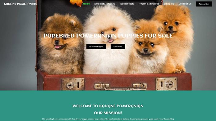 Kadanepomeranian.com - Pomeranian Puppy Scam Review