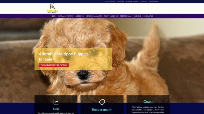 Kennellhomemaltipoo.com - Maltipoo Puppy Scam Review