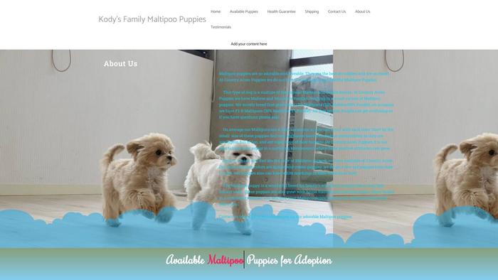 Kodysfamilymaltipoopuppies.com - Maltipoo Puppy Scam Review