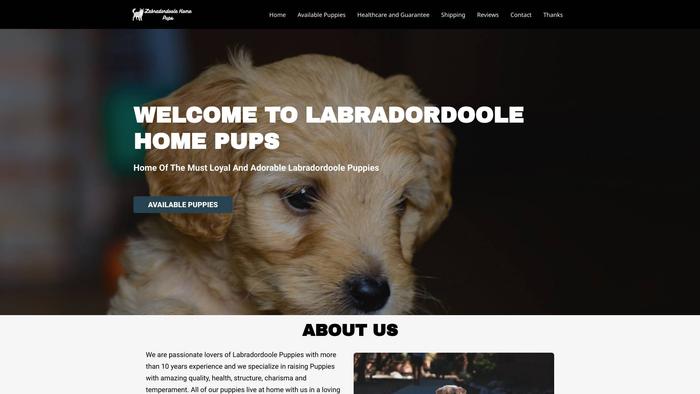 Labradordoolehomepups.com - Labrador Puppy Scam Review